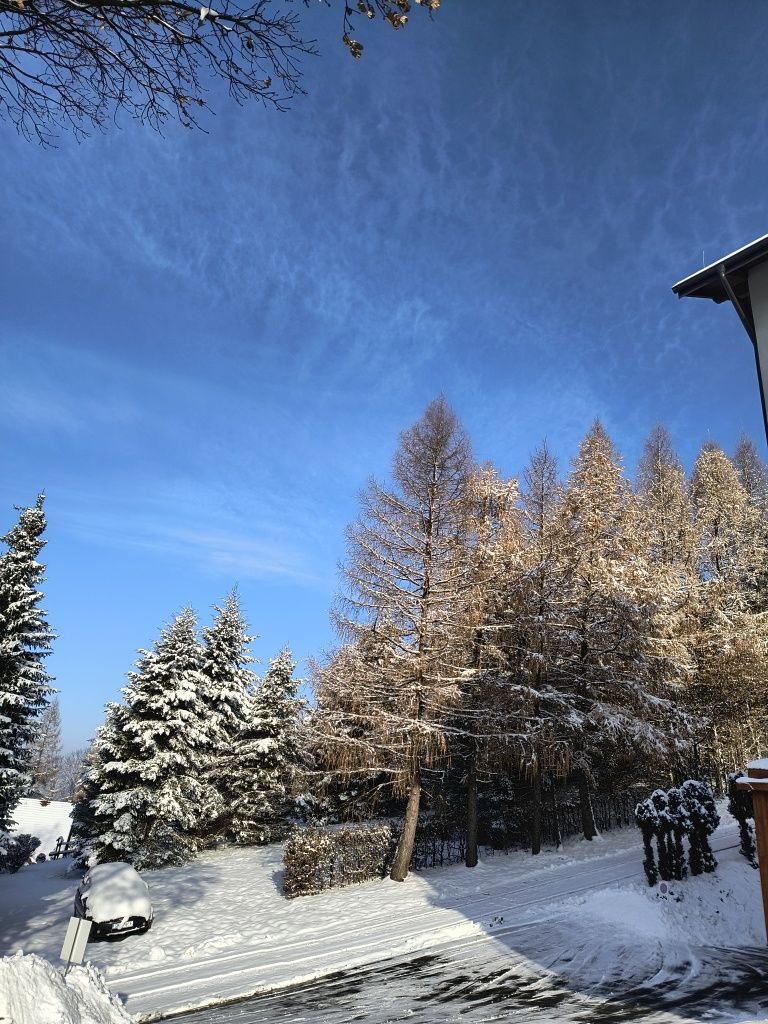 Wynajem apartamentu Brenna Górski Zakątek. Jeszcze wolny Sierpień