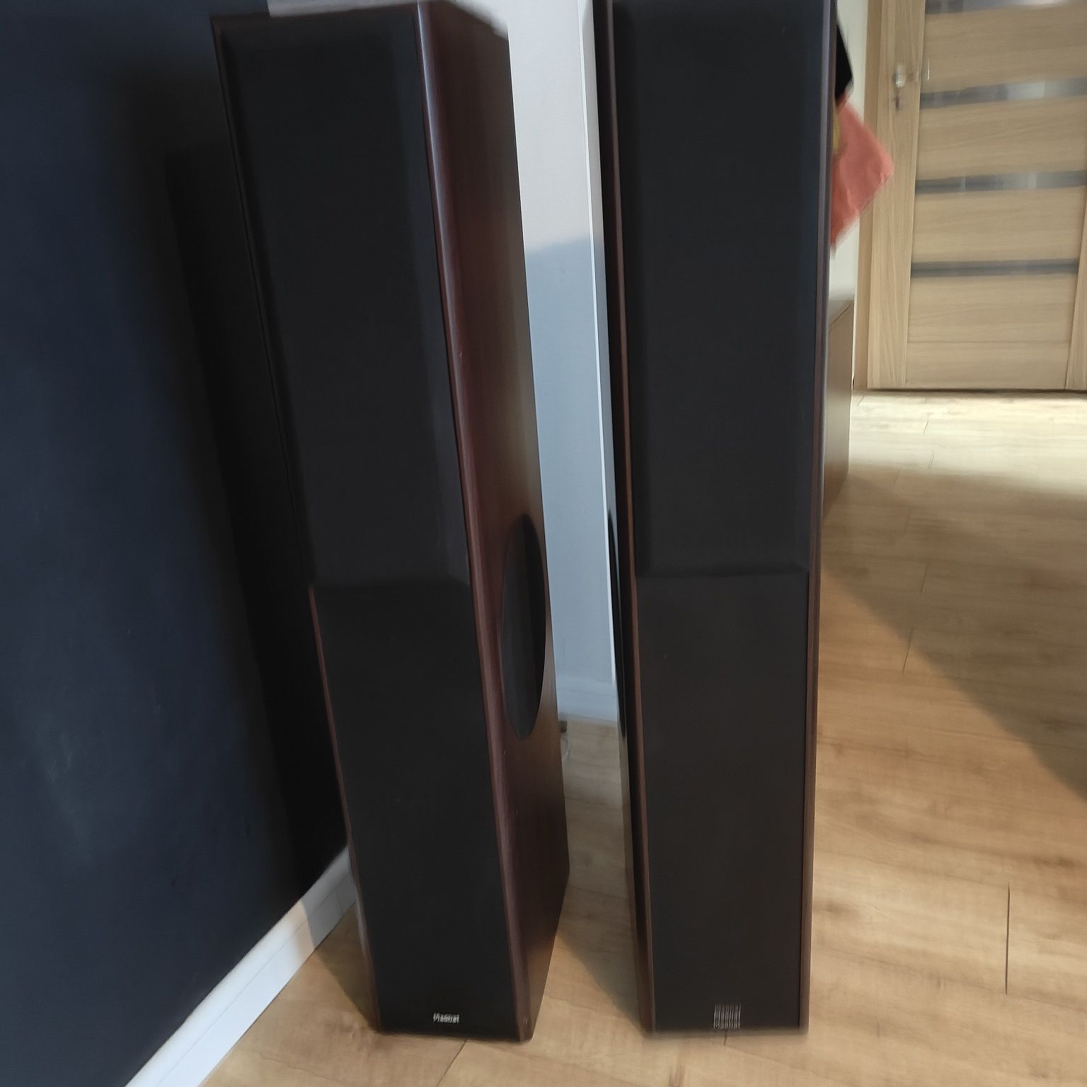 Kolumny monitor supreme center 2500