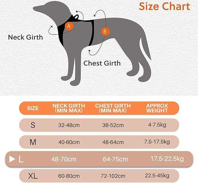 Шлея Fantsccy Air Dog для собак