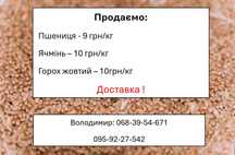 Продаємо пшеницю, ячмінь, горох жовтий до 25т. Врожай 2025. Доставка!