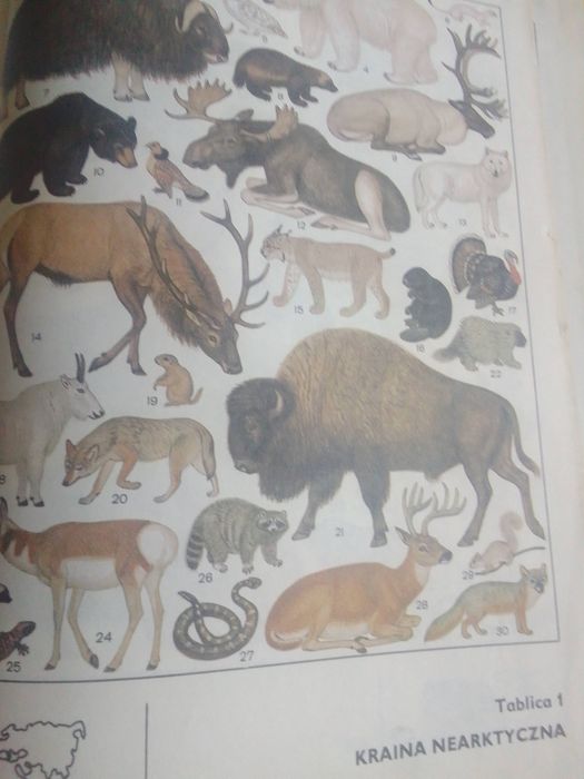 Biologia, klasa 3 L.O.A. Jasiński i inni