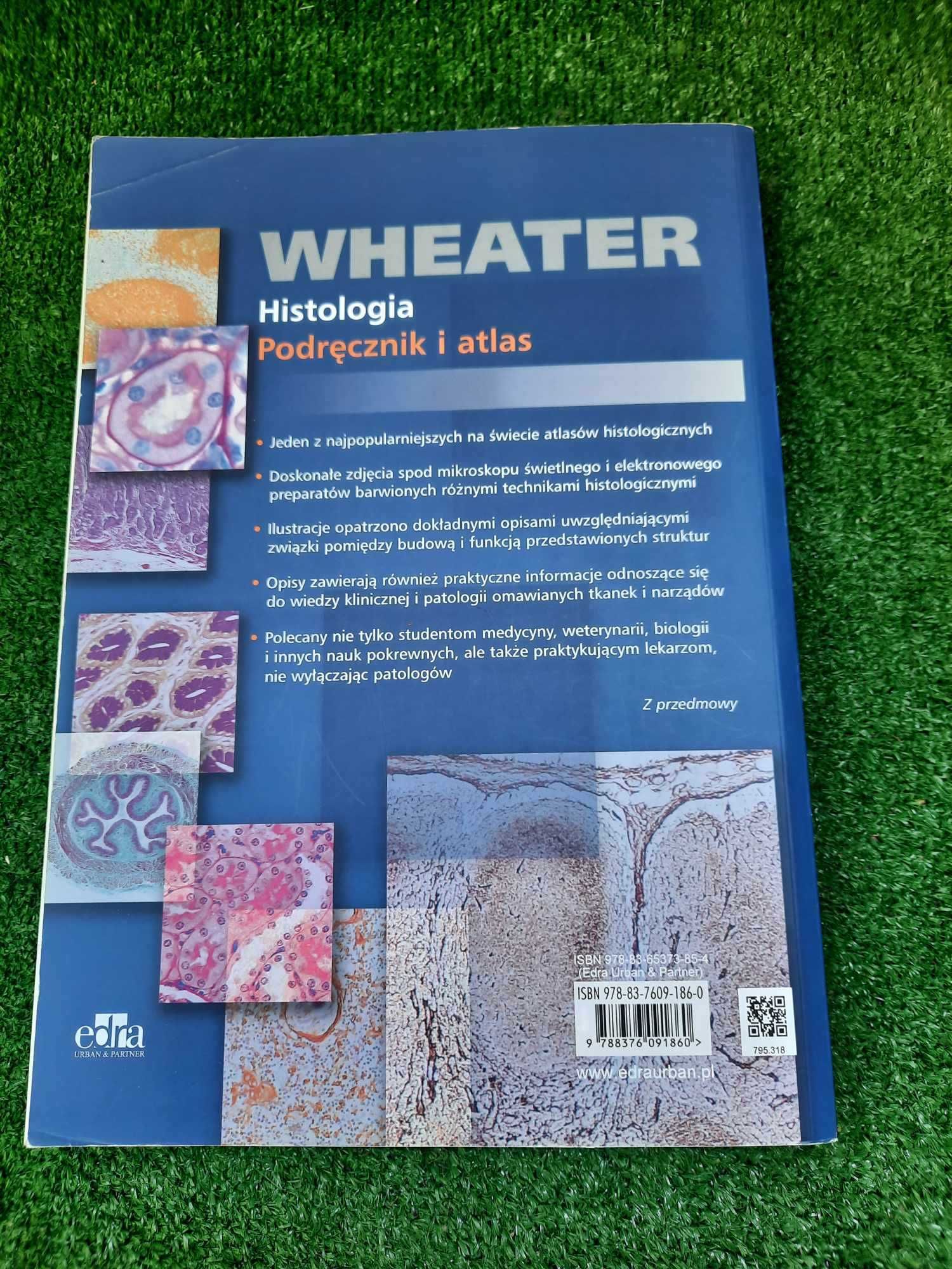 Histologia Wheater