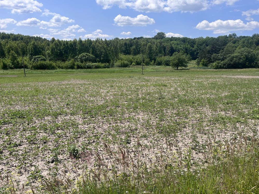 Земельна ділянка