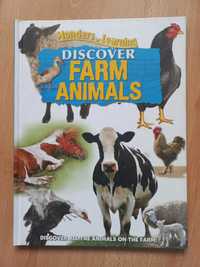 Wonders of Learning Discover Farm Animals angielski dla dzieci