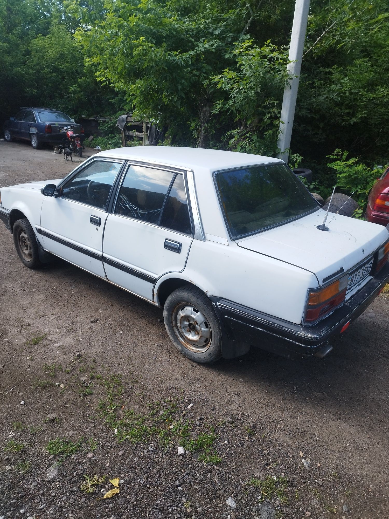 Нисан станза Nissan stanza