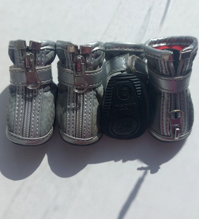 Продам взуття для йорка