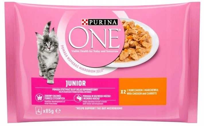 Sucha Karma PURINA ONE JUNIOR Kurczak z marchewką 48x85g