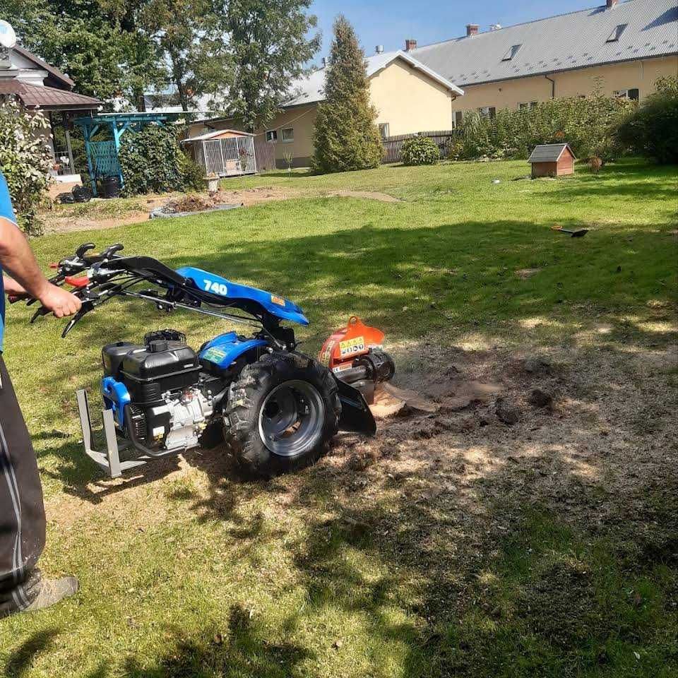 Profesjonalna pielęgnacja i alpinistyczna wycinka drzew, żywopłoty