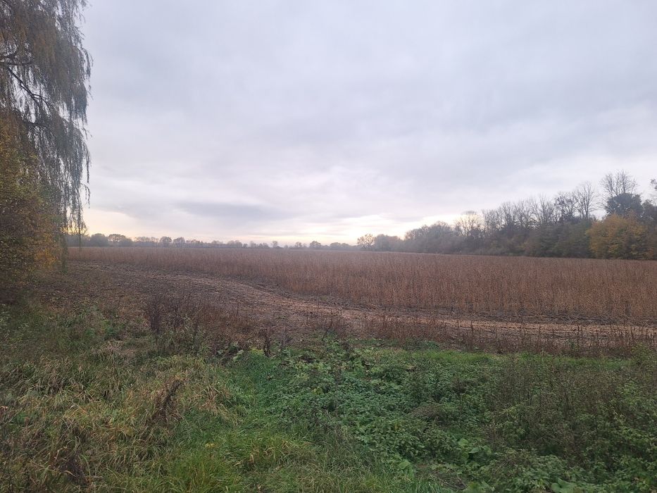 Земельна ділянка с.Берегомет траса на Івано-Франківськ