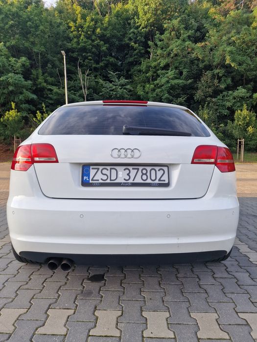 AUDI A3 8P 1.9 TDI 2009