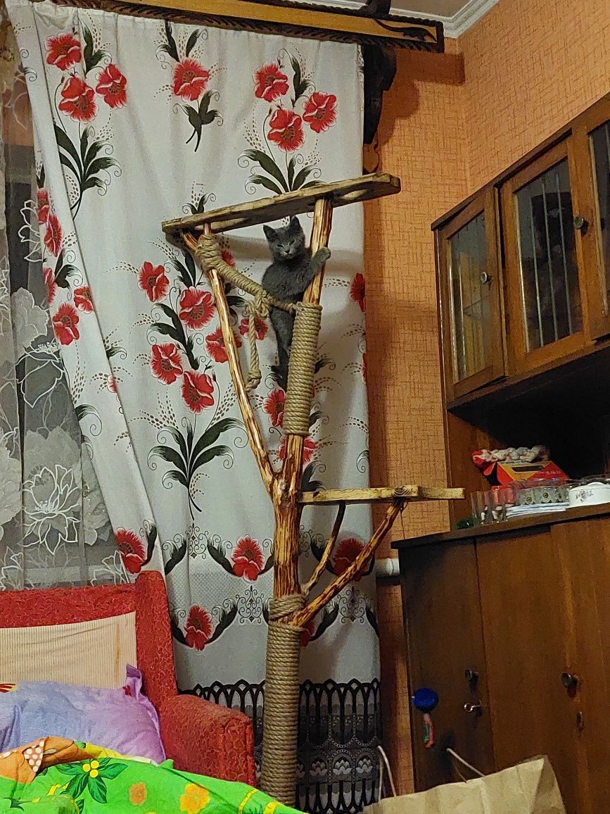 Продам кігтедьорку для кота