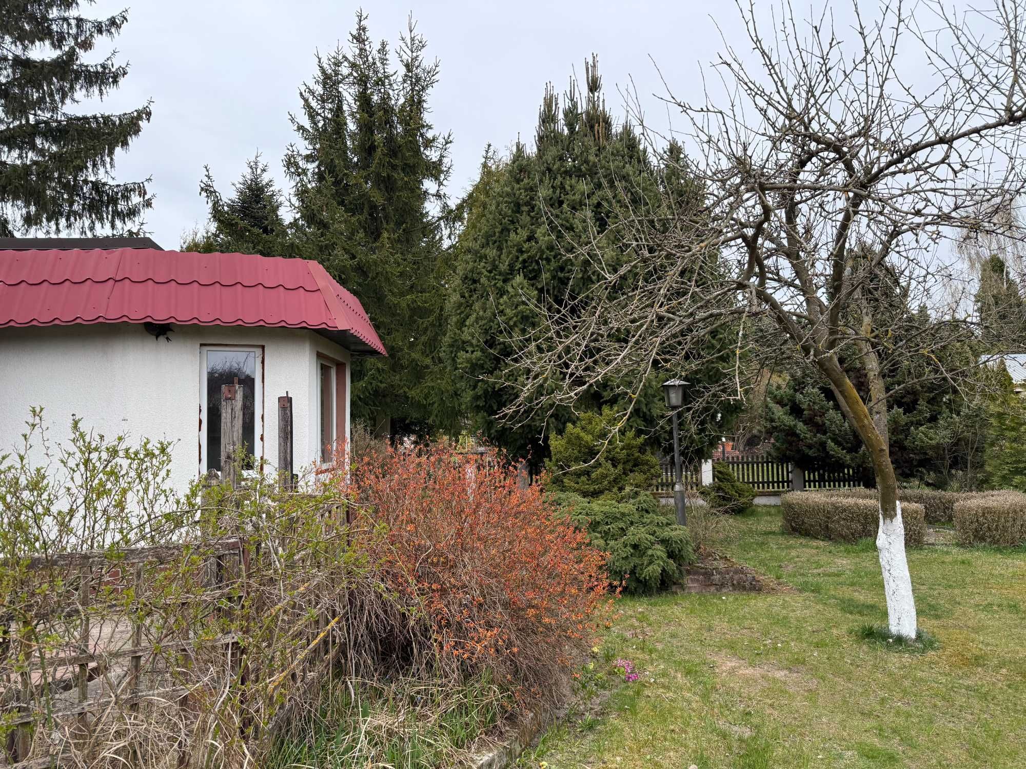 działka ROD Wudzyn - 900 m2 działka całoroczna! Bez opłat za wodę!
