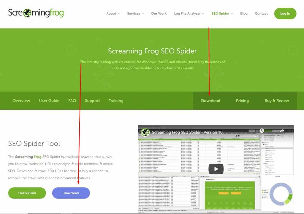 Підключення ліцензії SEO Spider від Screaming Frog на 1 рік