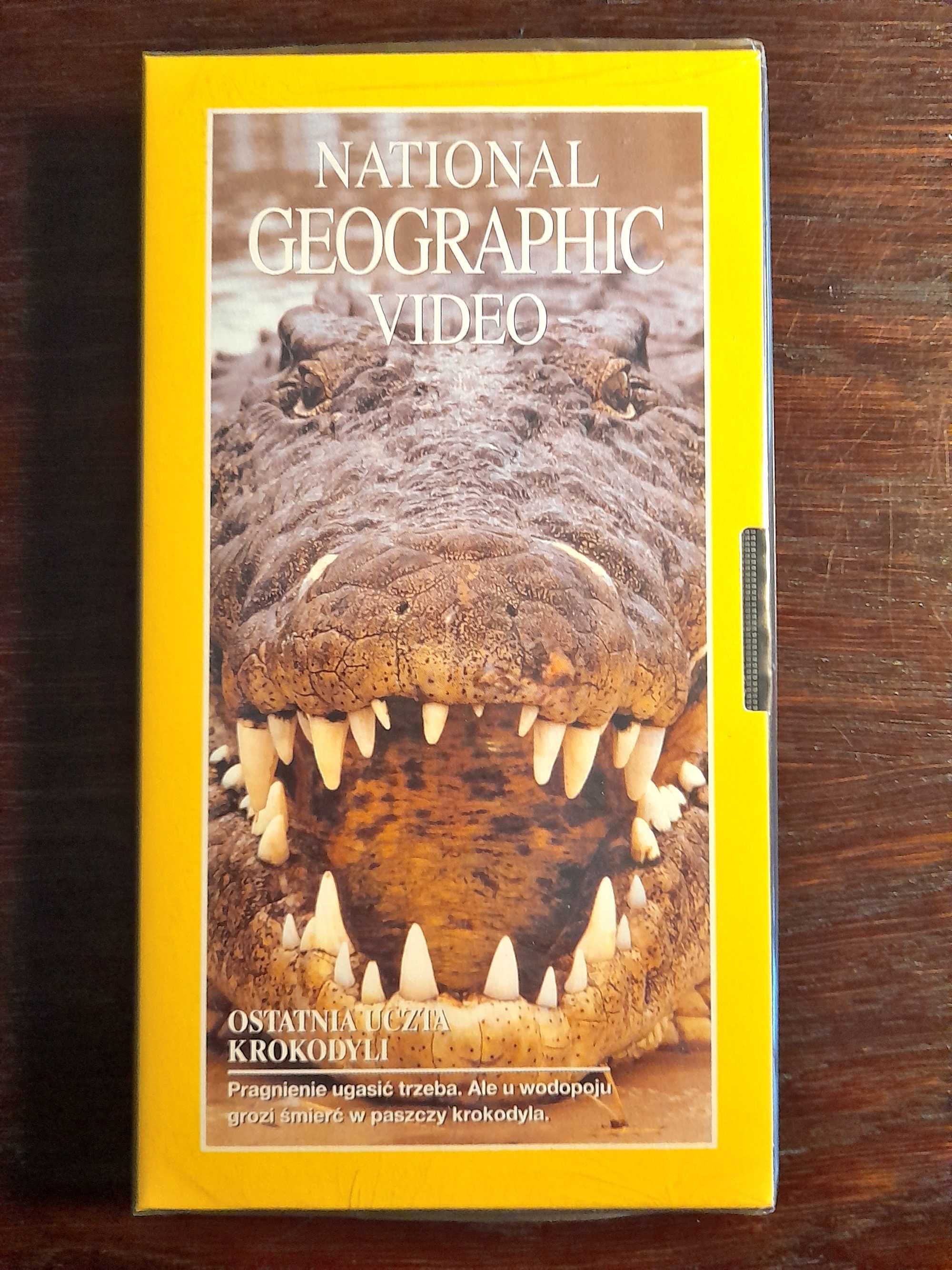 Ostatnia uczta krokodyli  National Geographic Video - kaseta wideo VHS