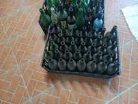 Garrafas de vinho  e espumante vaziasva .075L