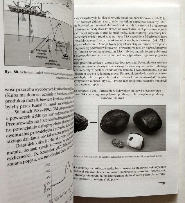 Geologia i surowce mineralne oceanów, Mizerski, Szamałek, NOWA!