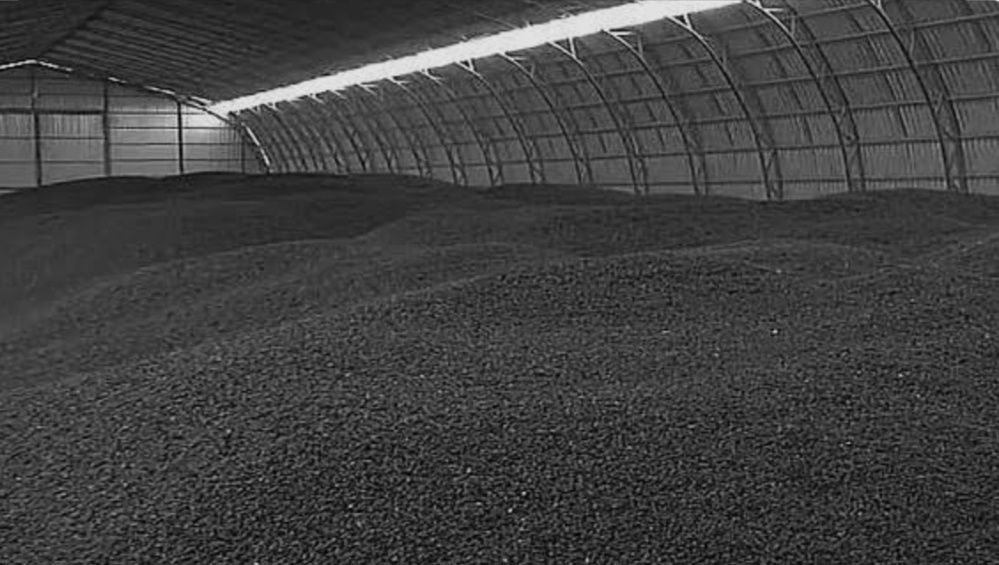 Закупаем подсолнух