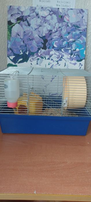 Клітка для хомяка