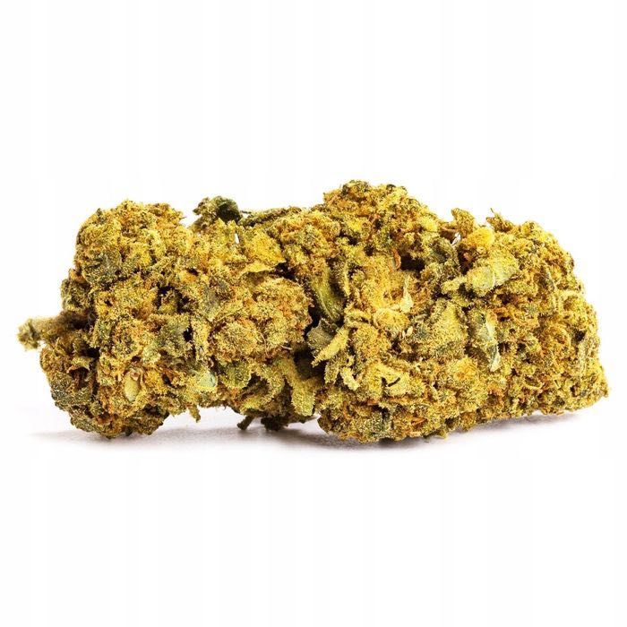 1KG Susz CBD Blueberry Haze 0,20% HURT Producent FV Susz konopny