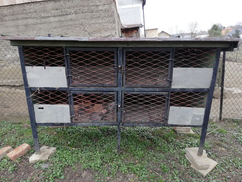 Klatki dla królików