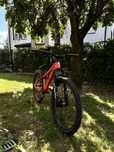 Rower Specialized P4 Satin Red 2024