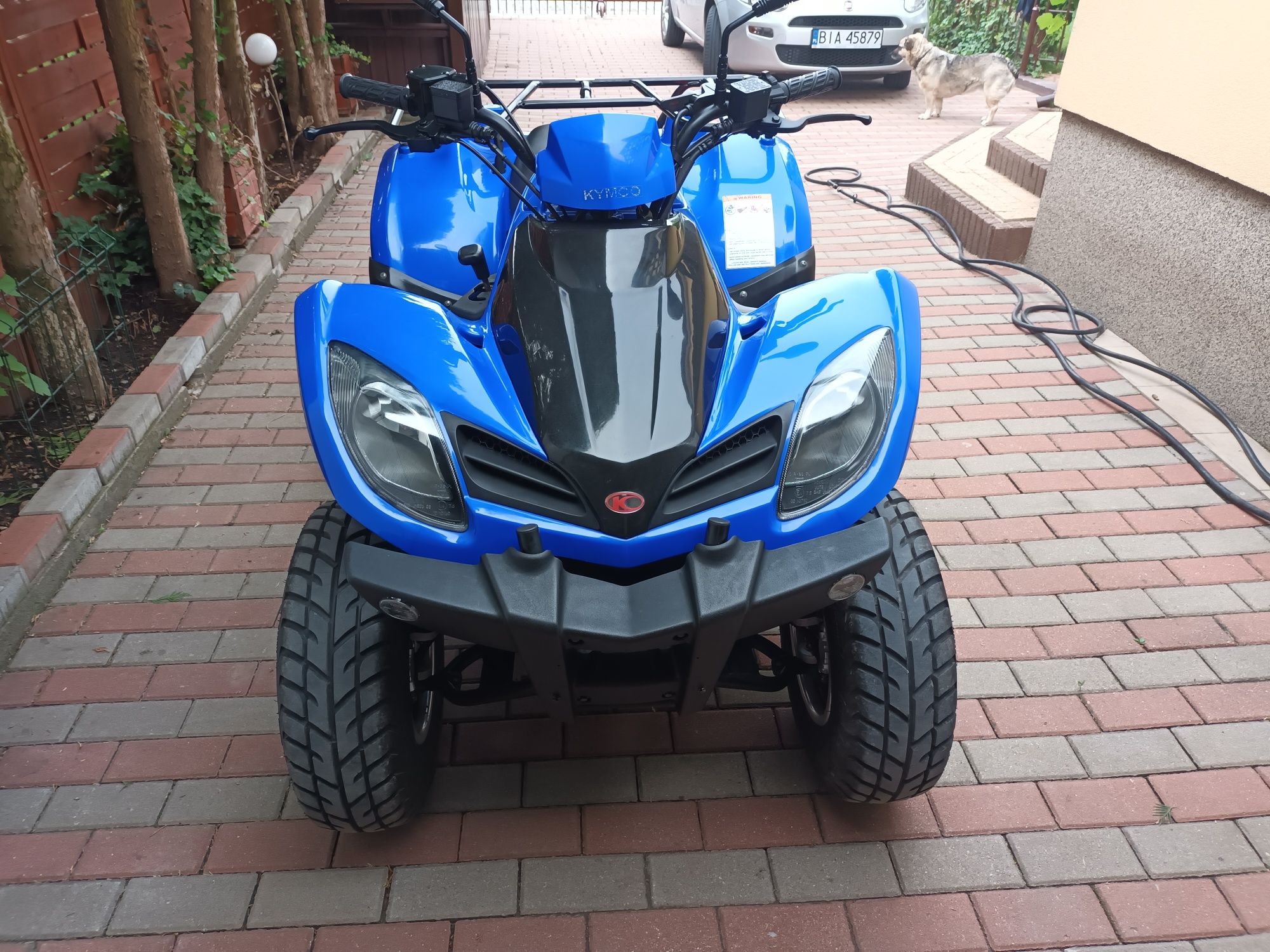 Quad Kymco mxu 250