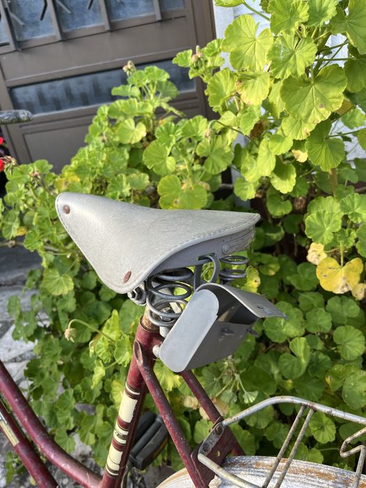 Bicicleta classica unisexo - estilo vintage