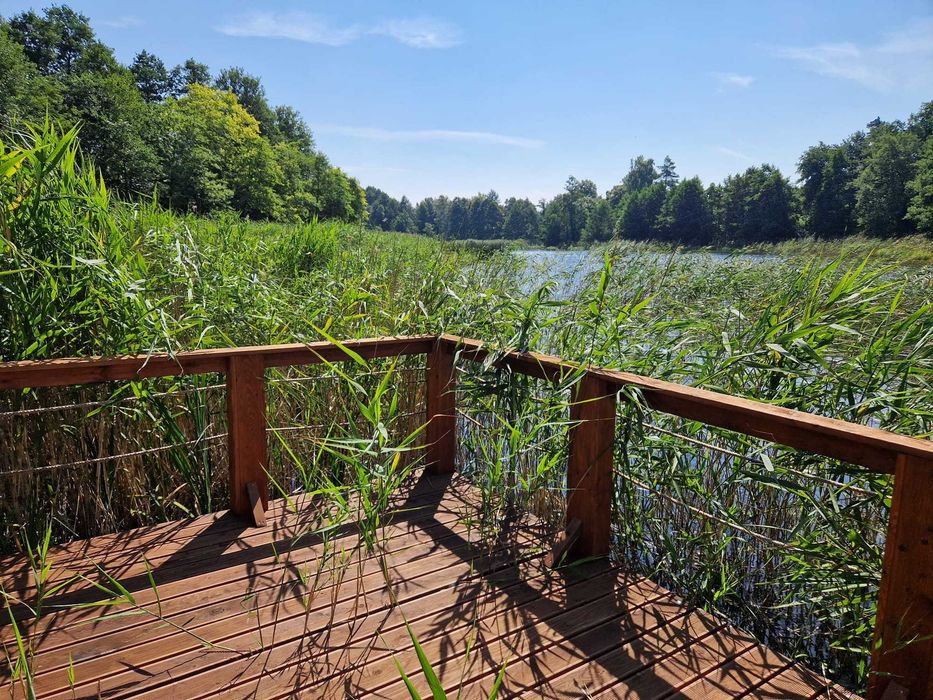 Działka nad jeziorem Domek Letniskowy pomost jacuzzi na Mazurach port