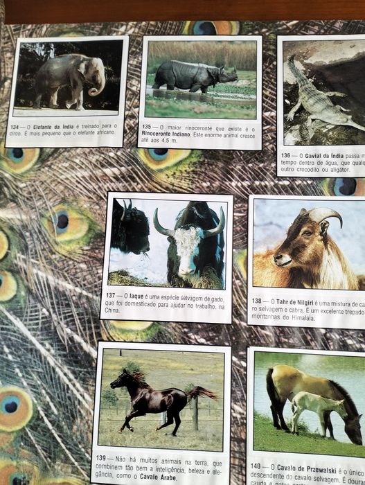 Cadernetas Animals of the World - Panini