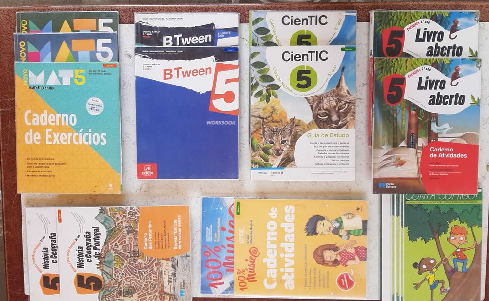 Cadernos de atividades e alguns manuais