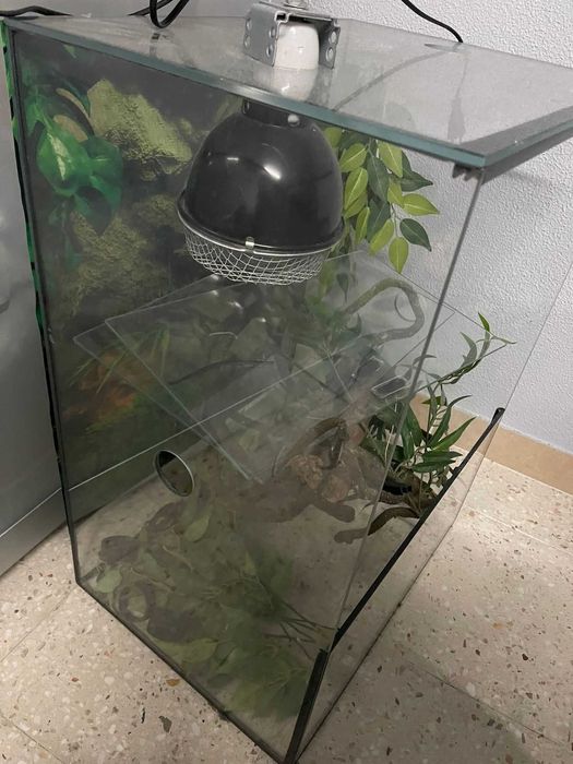 Terrário para répteis