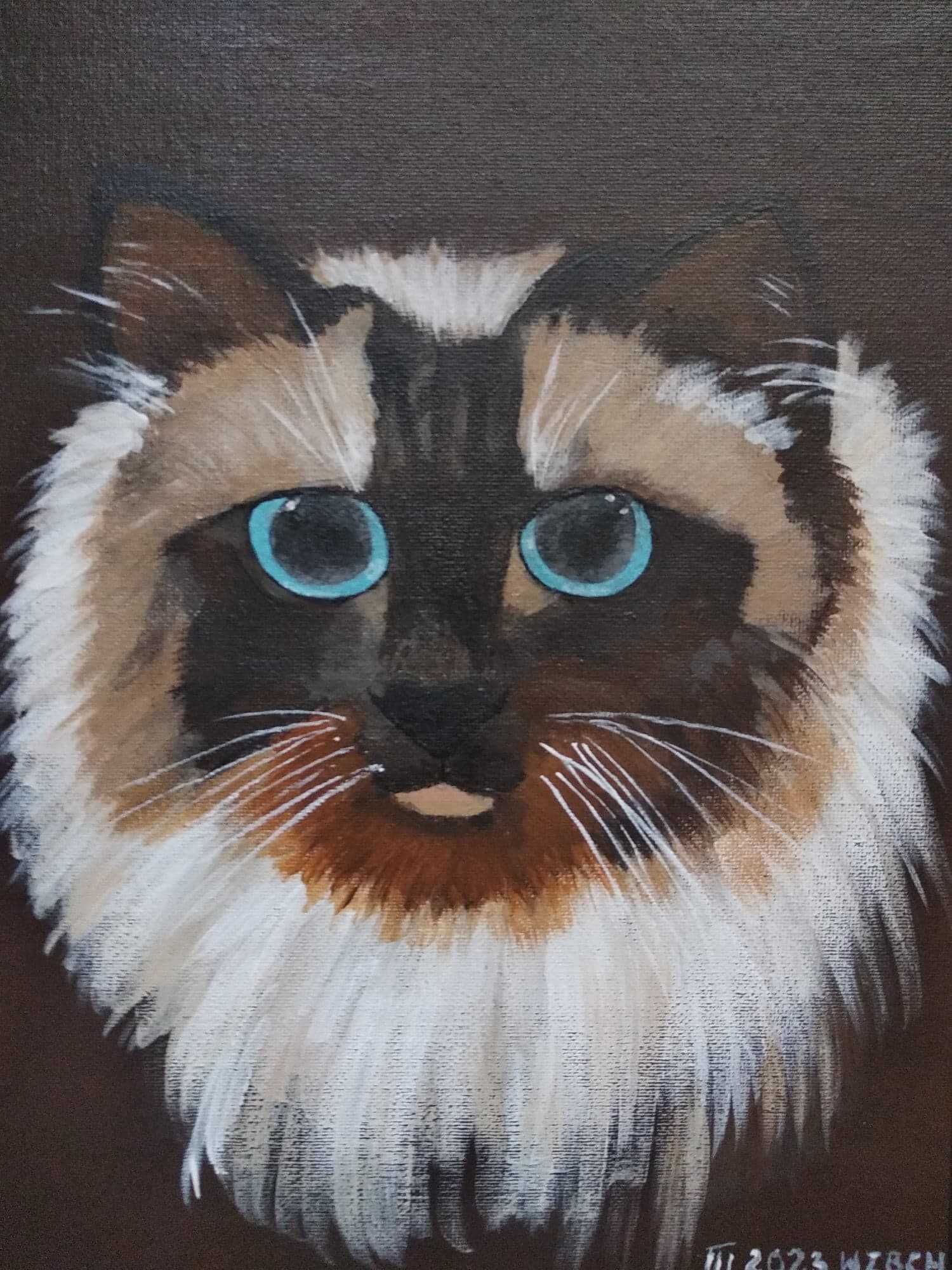 obraz kot "Ragdoll" akryl ręcznie malowany