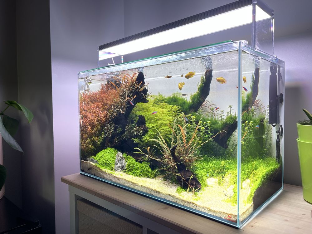 Aquário Strideways 60L completo com acessórios