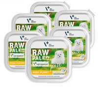 RAW PALEO PATE mini puppy turkey 6x150g indyk