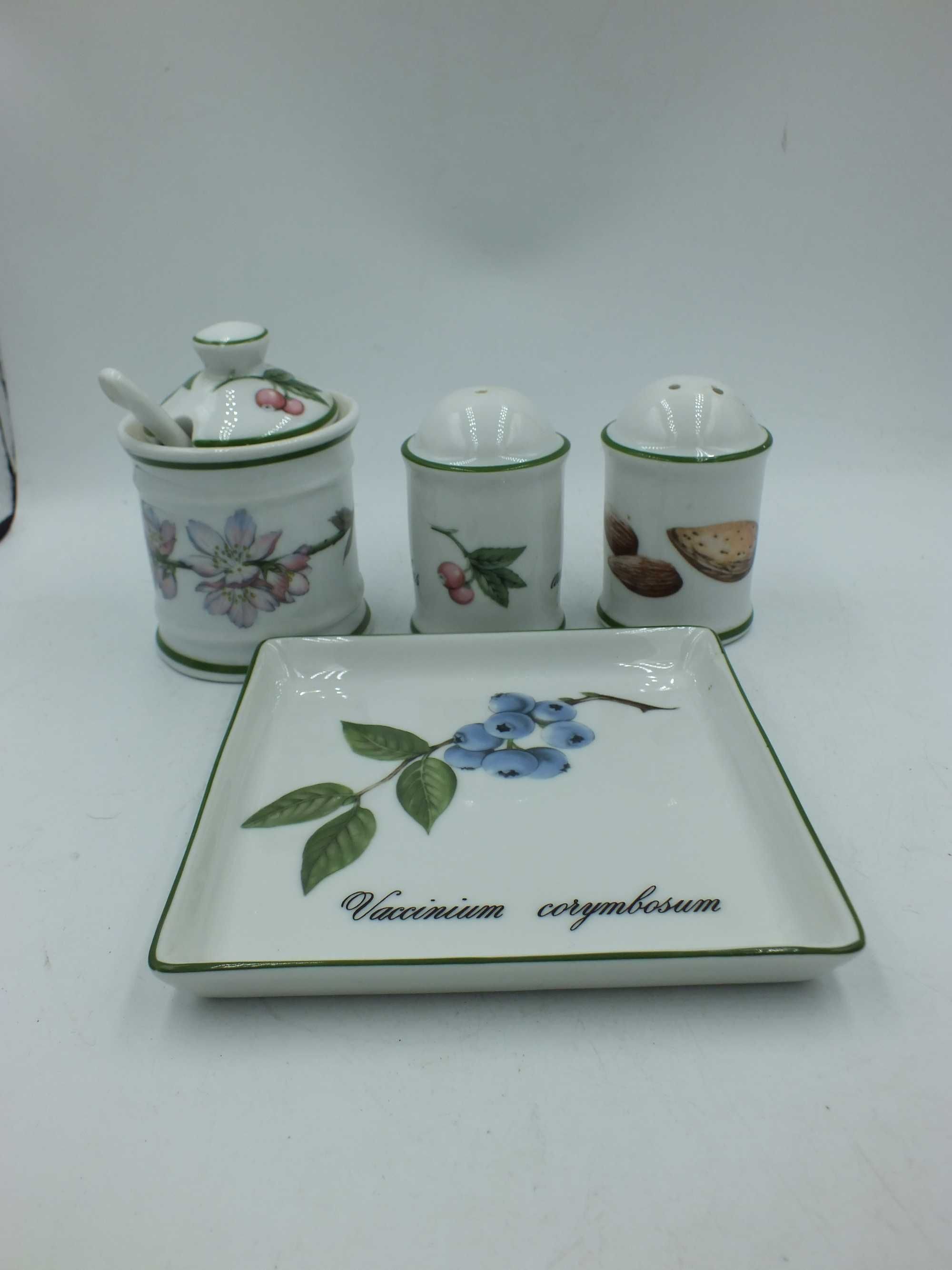 Przyprawnik zestaw porcelana Francja Aplico w stylu Botanica B062526