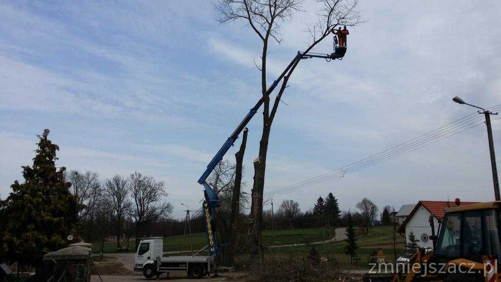 Podnośnik Koszowy Zwyżka, Minikoparka, Wycinka Drzew Przycinanie Koron