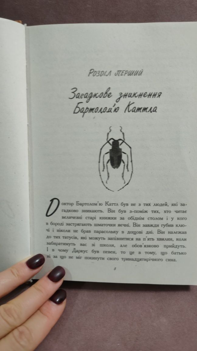 Книга Хлопчик жук
