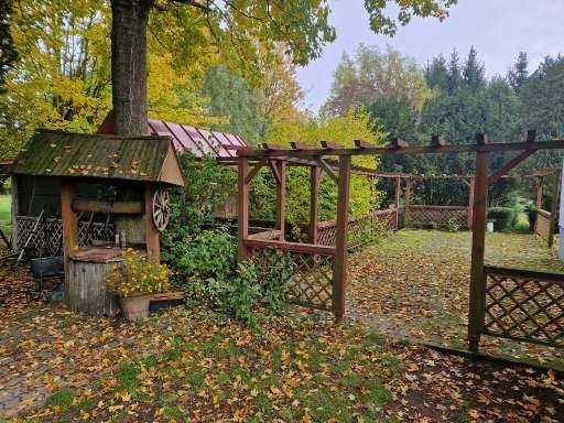 Osada Drzewce 2 siedlisko