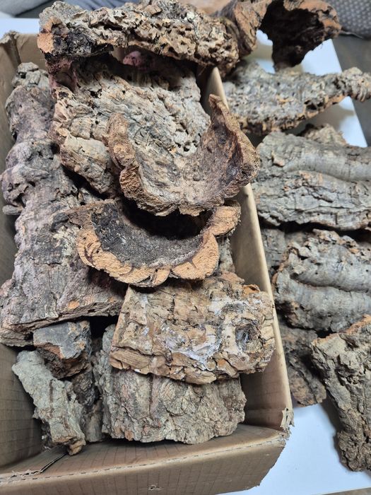 Korek terrarystyczny