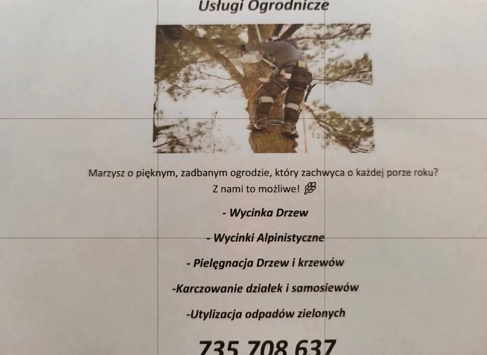 Wycinka Drzew , Wycinki Alpinistyczne,Utylizacja odpadów zielonych