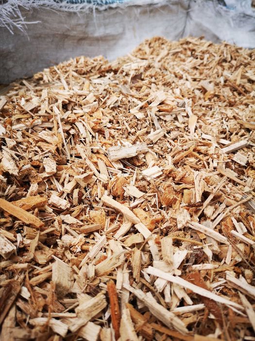 Zrębka iglasta big bag sosnowa