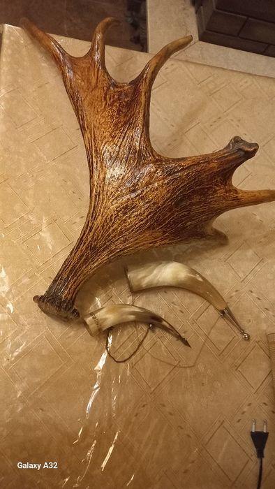 Рогі для декору, лаковані