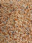 PROSO MIX 3,5zł/kg , 70 zł za 20 kg kanarek,przepiórka,papuga