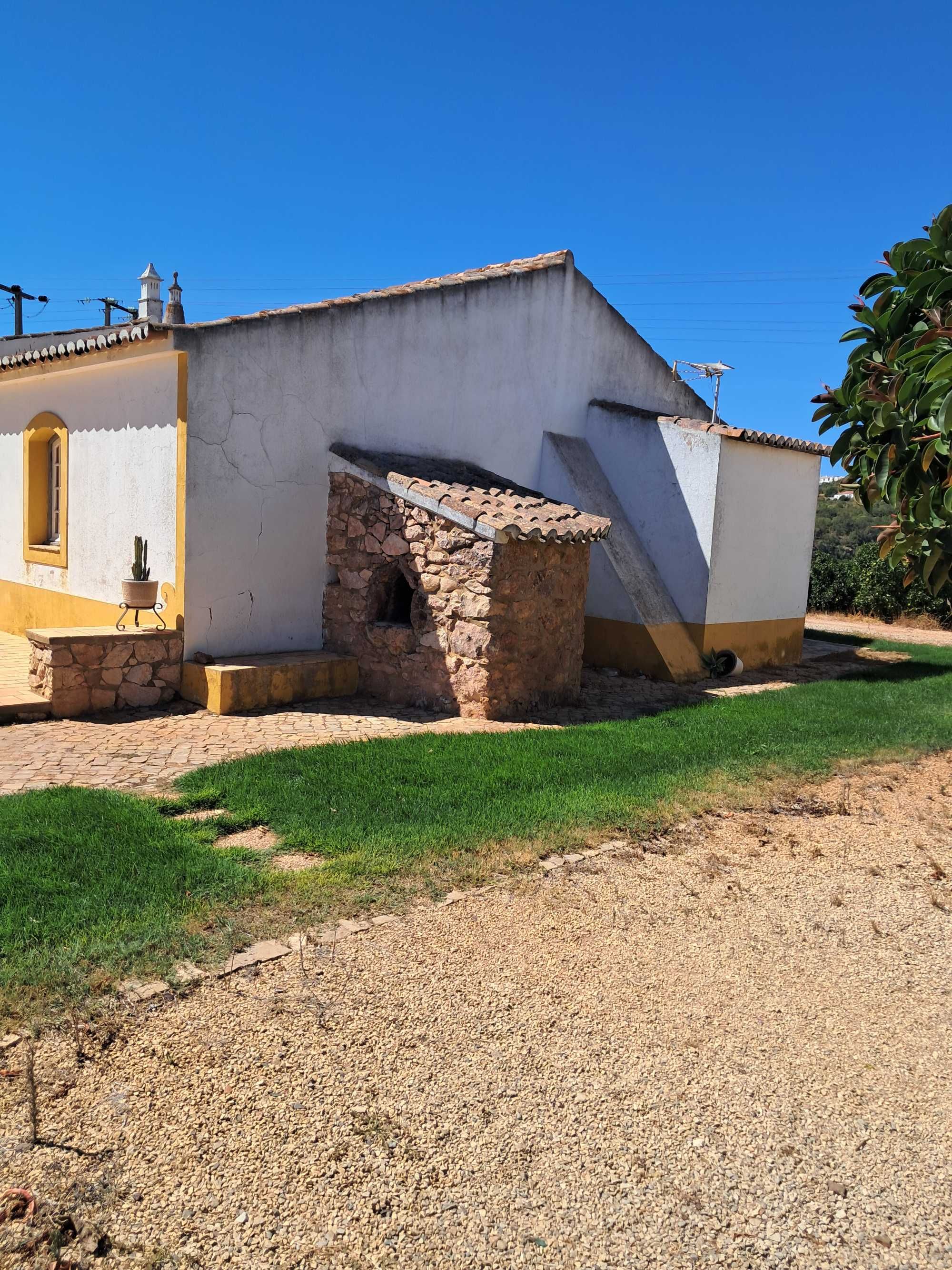 Quinta  com citrinos. 22 ha