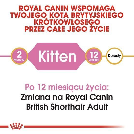 Karma dla kociąt, kotek w ciąży/karmiących Royal Canin BRYTYJCZYK 2kg