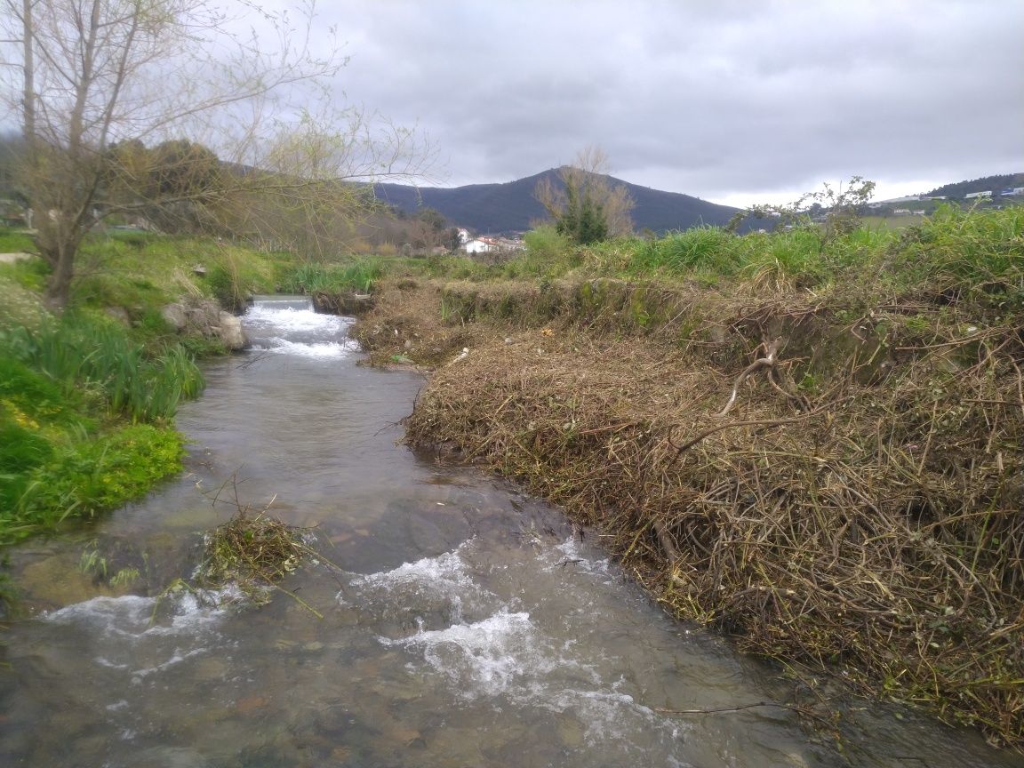 Limpeza de terrenos e Jardinagem