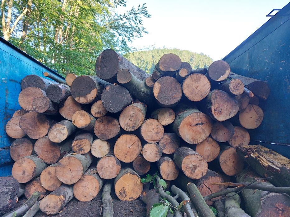 Drewno kominkowe opalowe buk