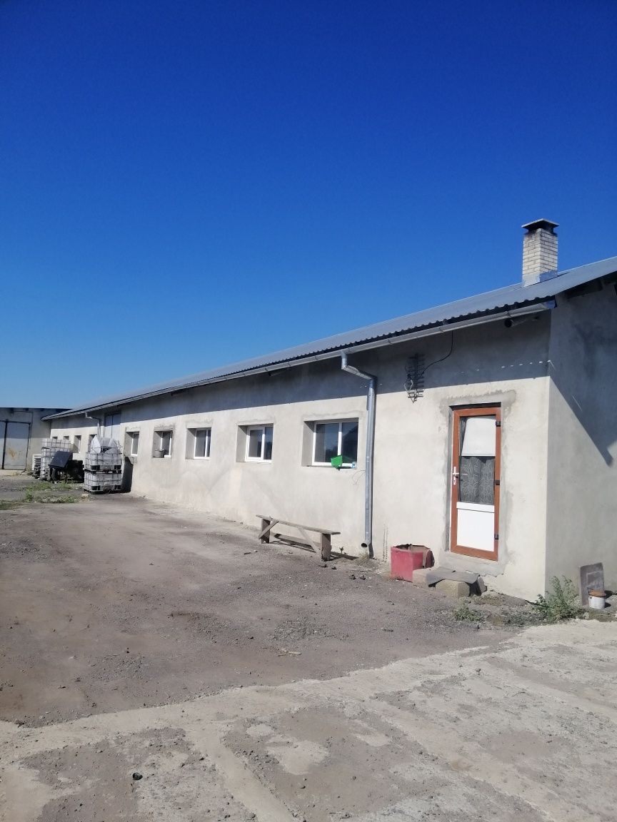 Оренда приміщення під виробництво, чи склад