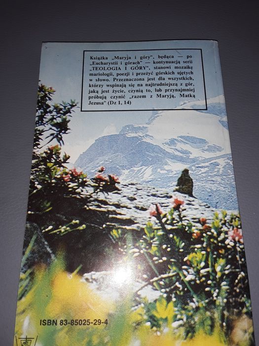 I poszła z pośpiechem w góry Rogowski