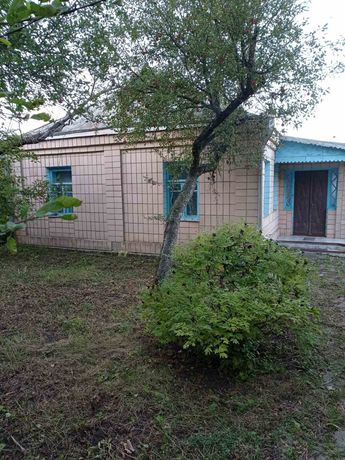 Продам будинок в селі Бужанка  Лисянського району